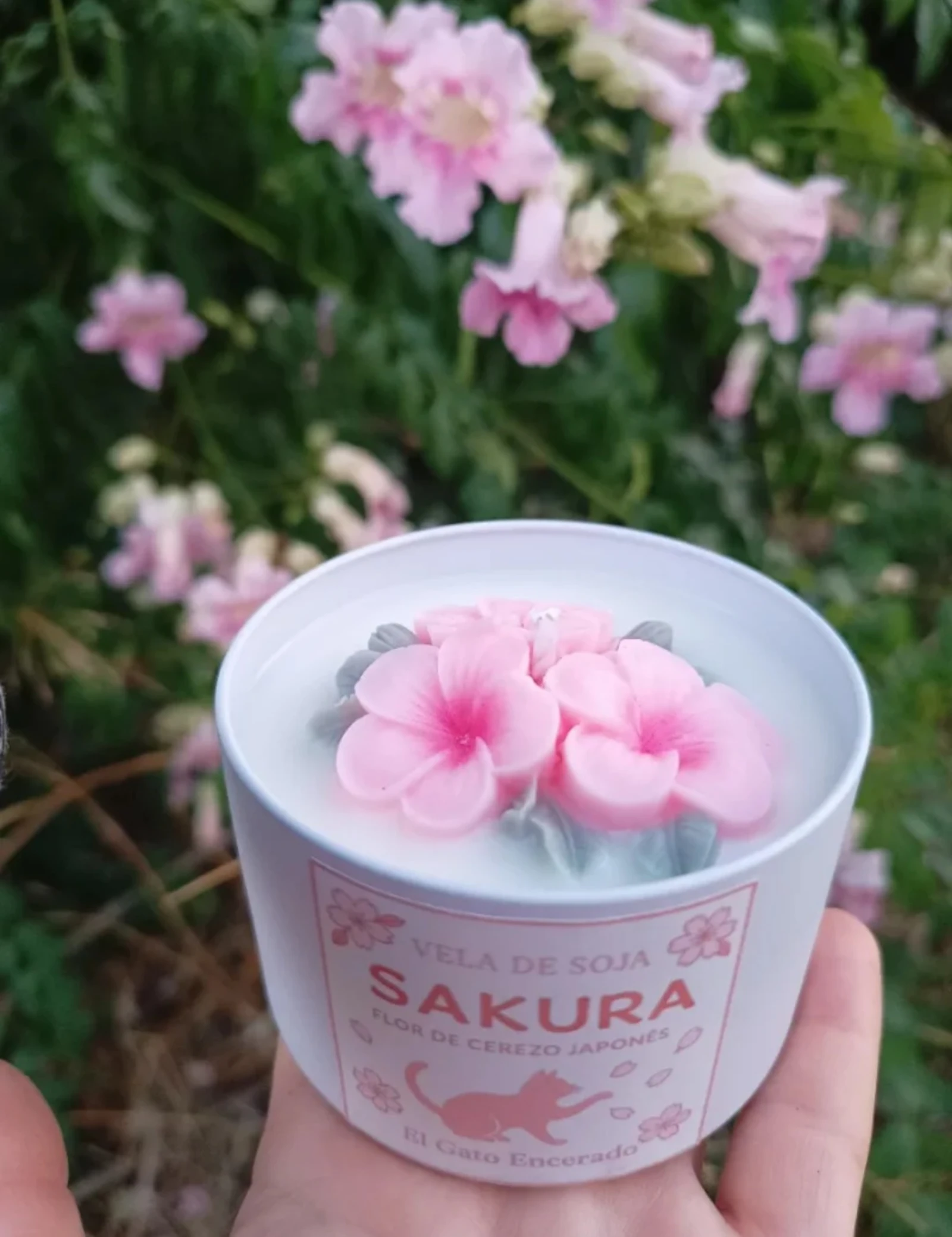 Vela de soja Sakura